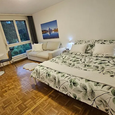 Premium Mit Pilatus Sicht Luzern